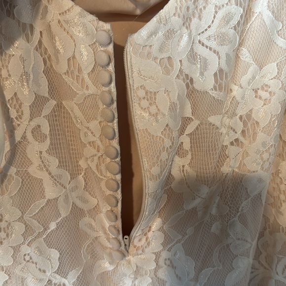 Elegant Lace Wedding Dress - Picture 9 of 16